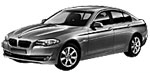 BMW F10 P0AFE Fault Code